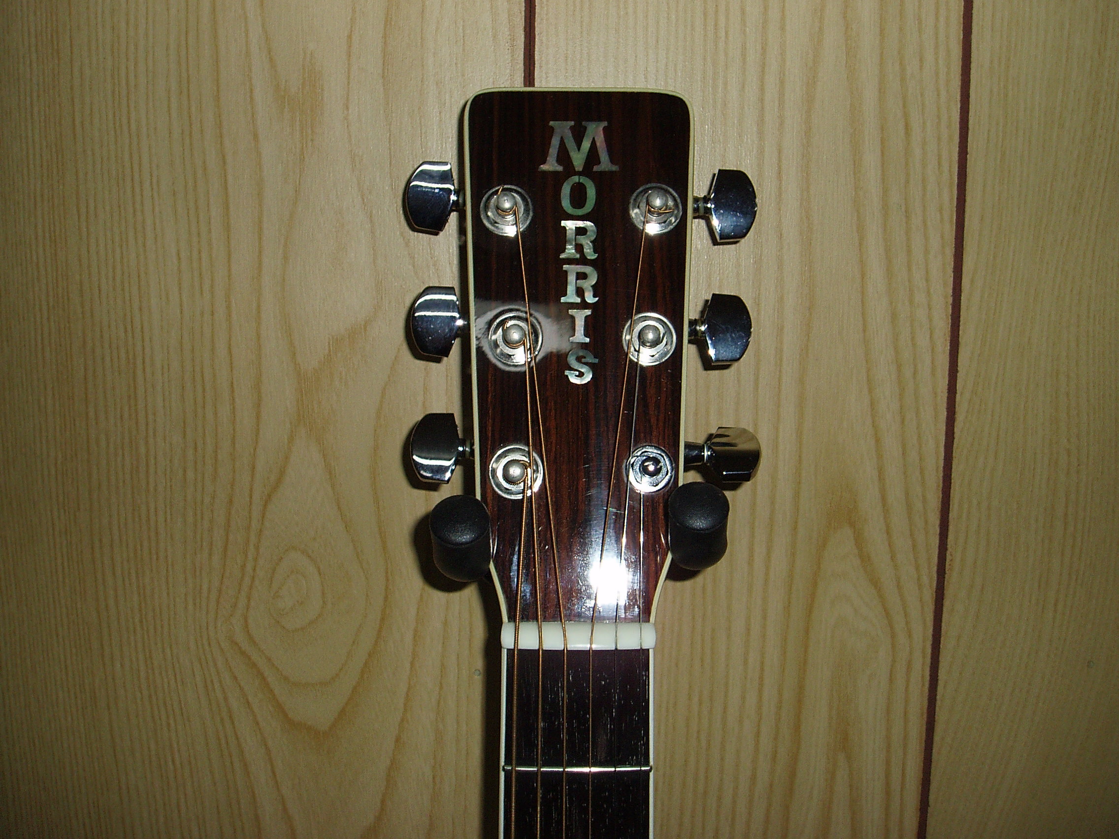 MORRIS MD-512 | ギターショップ Candy